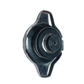 درب رادیاتور آریو